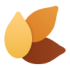 seeds